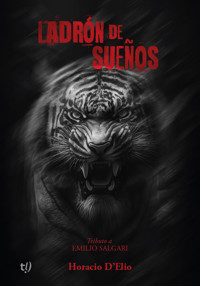 Ladrón de sueños - Horacio Ernesto D'Elio - E-Book