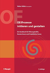 OE-Prozesse initiieren und gestalten - Walter Häfele - E-Book