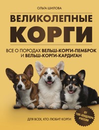 Великолепные корги. Все о породах вельшкоргипемброк и вельшкоргикардиган - Ольга Шилова - E-Book