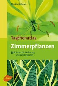 Zimmerpflanzen - Martin Haberer - E-Book