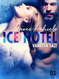Ice Hotel 3: Llaves de hielo - Vanessa Salt - E-Book