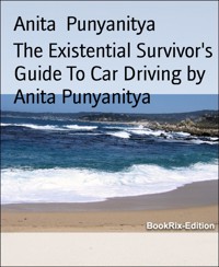 The Existential Survivor's Guide To Car Driving by Anita Punyanitya - ANITA PUNYANITYA - E-Book