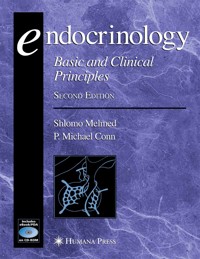 Endocrinology -  - E-Book