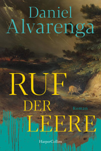 Ruf der Leere - Daniel Alvarenga - E-Book
