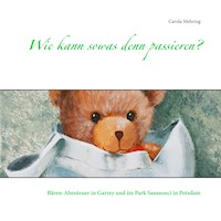 Wie kann sowas denn passieren? - Carola Mehring - E-Book
