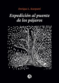 Expedición al puente de los pájaros - Enrique L. Scarpatti - E-Book