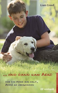 ... und dann kam Aero - Liam Creed - E-Book