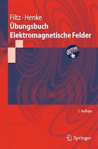 Übungsbuch Elektromagnetische Felder - Manfred Filtz - E-Book