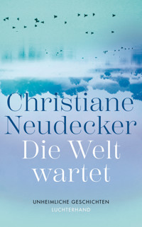 Die Welt wartet - Christiane Neudecker - E-Book