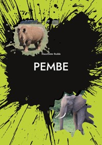 Pembe - Klaus-Dieter Budde - E-Book
