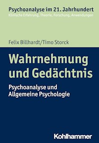 Wahrnehmung und Gedächtnis - Timo Storck - E-Book