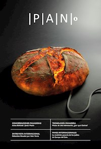PAN 1 - VV. AA. - E-Book
