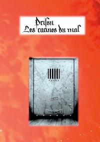Prison : les racines du mal - Roland Meyer - E-Book