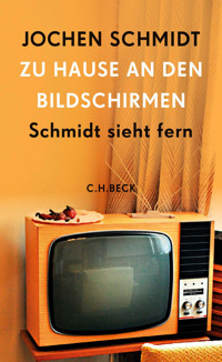 Zu Hause an den Bildschirmen - Jochen Schmidt - E-Book