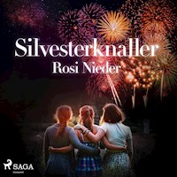 Silvesterknaller - Vulkanausbruch in der Eifel 2010/11 (Ungekürzt) - Rosi Nieder - Hörbuch