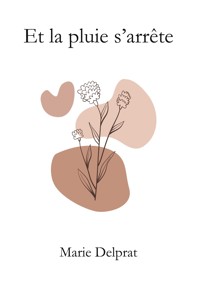 Et la pluie s'arrête - Marie Delprat - E-Book
