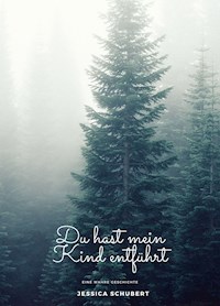 Du hast mein Kind entführt - Jessica Schubert - E-Book