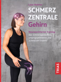 Schmerzzentrale Gehirn - Luise Walther - E-Book