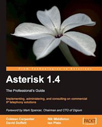 Asterisk 1.4 - The Professional's Guide - Colman Carpenter - E-Book