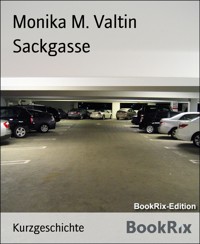Sackgasse - Monika M. Valtin - E-Book