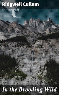 In the Brooding Wild - Ridgwell Cullum - E-Book