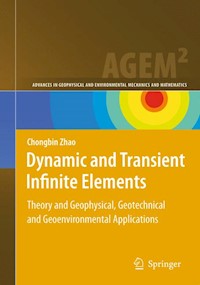 Dynamic and Transient Infinite Elements - Chongbin Zhao - E-Book