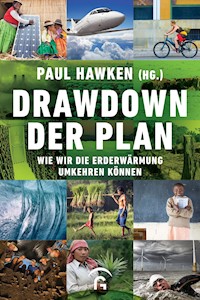 Drawdown - der Plan -  - E-Book