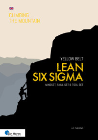 Lean Six Sigma Yellow Belt - English version - ir. H.C. Theisens - E-Book