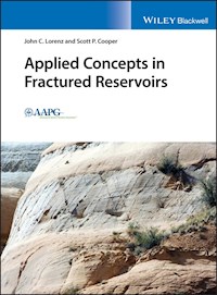 Applied Concepts in Fractured Reservoirs - John C. Lorenz - E-Book