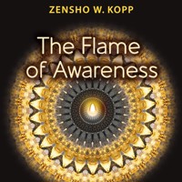 The Flame of Awareness - Zensho W. Kopp - E-Book