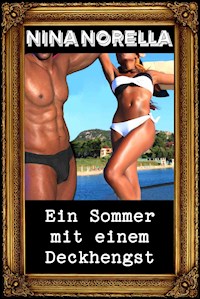 Ein Sommer mit einem Deckhengst - Nina Norella - E-Book