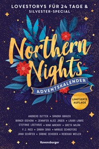Northern Nights. Ein Adventskalender. Lovestorys für 24 Tage plus Silvester-Special - Andreas Dutter - E-Book
