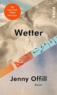 Wetter - Jenny Offill - E-Book