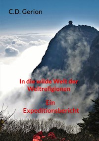 In die wilde Welt der Weltreligionen - C.D. Gerion - E-Book