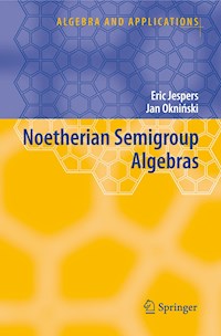 Noetherian Semigroup Algebras - Eric Jespers - E-Book