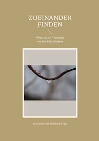 Zueinander finden - Marianne Kopp - E-Book