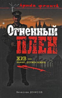 Огненный плен - Вячеслав Денисов - E-Book