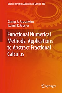 Functional Numerical Methods: Applications to Abstract Fractional Calculus - George A. Anastassiou - E-Book