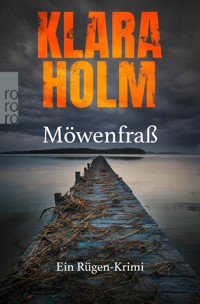 Möwenfraß - Klara Holm - E-Book