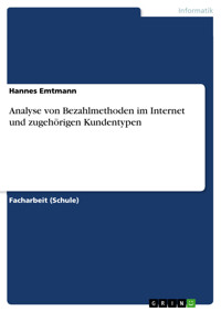 Analyse von Bezahlmethoden im Internet und zugehörigen Kundentypen - Hannes Emtmann - E-Book