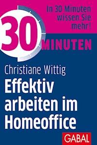 30 Minuten Effektiv arbeiten im Homeoffice - Christiane Wittig - E-Book