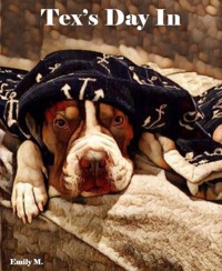 Big Tex & Friends: Tex's Day In - Emily M. - E-Book