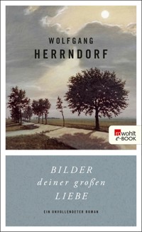 Bilder deiner großen Liebe - Wolfgang Herrndorf - E-Book