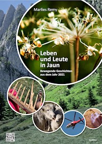 Leben und Leute in Jaun - Marlies Remy - E-Book