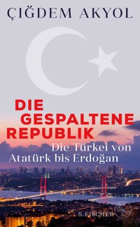 Die gespaltene Republik - Çiğdem Akyol - E-Book