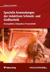 Spezielle Anwendungen der induktiven Schmelz- und Gießtechnik - Dietmar Trauzeddel - E-Book