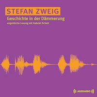 Geschichte in der Dämmerung - Zweig Stefan - E-Book + Hörbuch