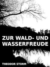 Zur Wald- und Wasserfreude - Theodor Storm - E-Book