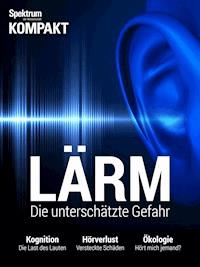 Spektrum Kompakt: Lärm -  - E-Book