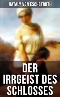 Der Irrgeist des Schlosses - Nataly von Eschstruth - E-Book